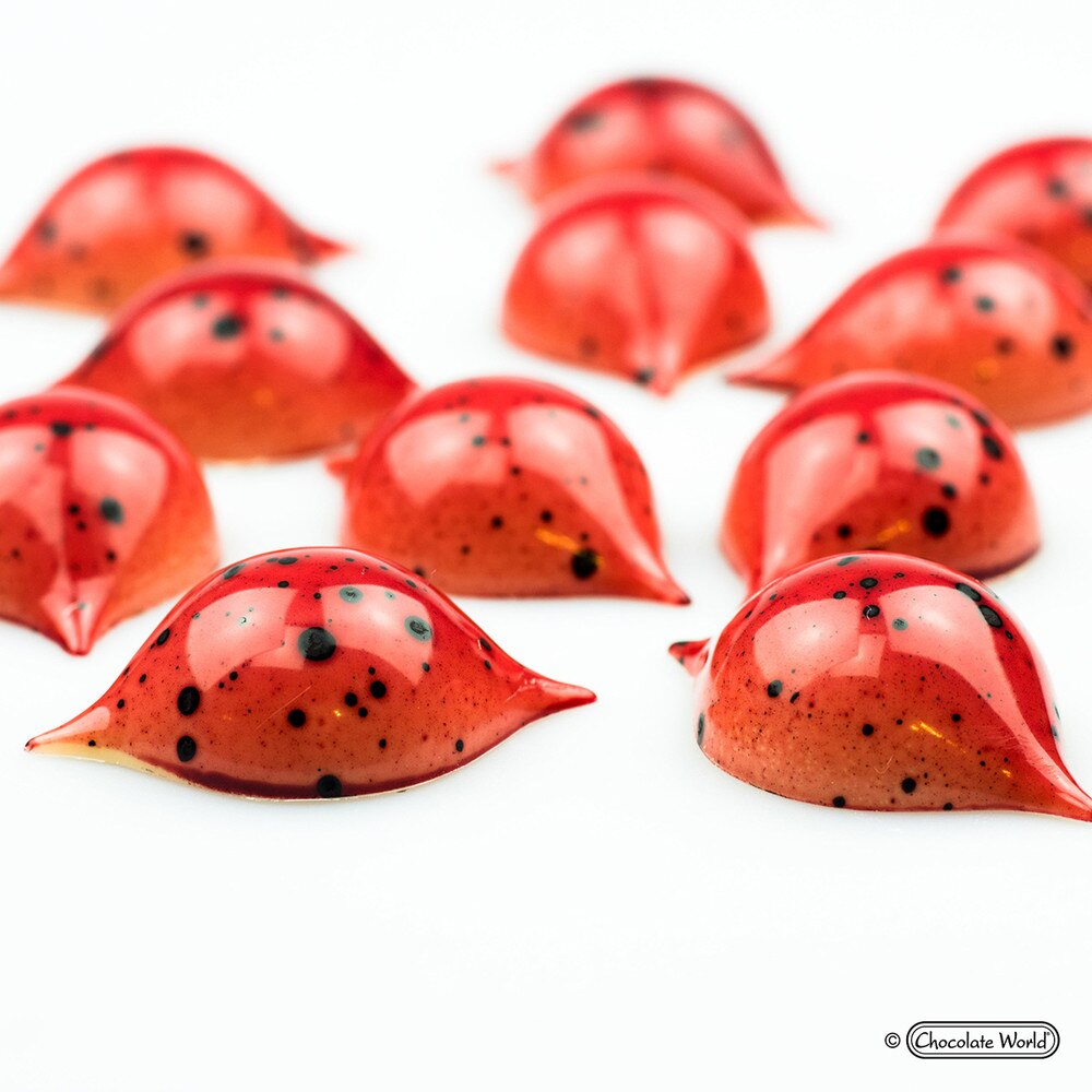Chocolate World Mould - Praline Curve - Frank Haasnoot